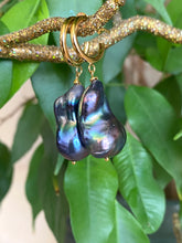 Charger l'image dans la galerie, Baroque pearl hoop earrings in black peacock hues with gold vermeil hoops against green leaf background