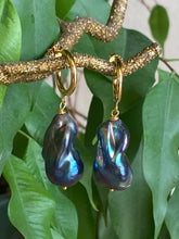 Charger l'image dans la galerie, Handmade baroque pearl hoop earrings in black peacock tones shown close up on green leaf background