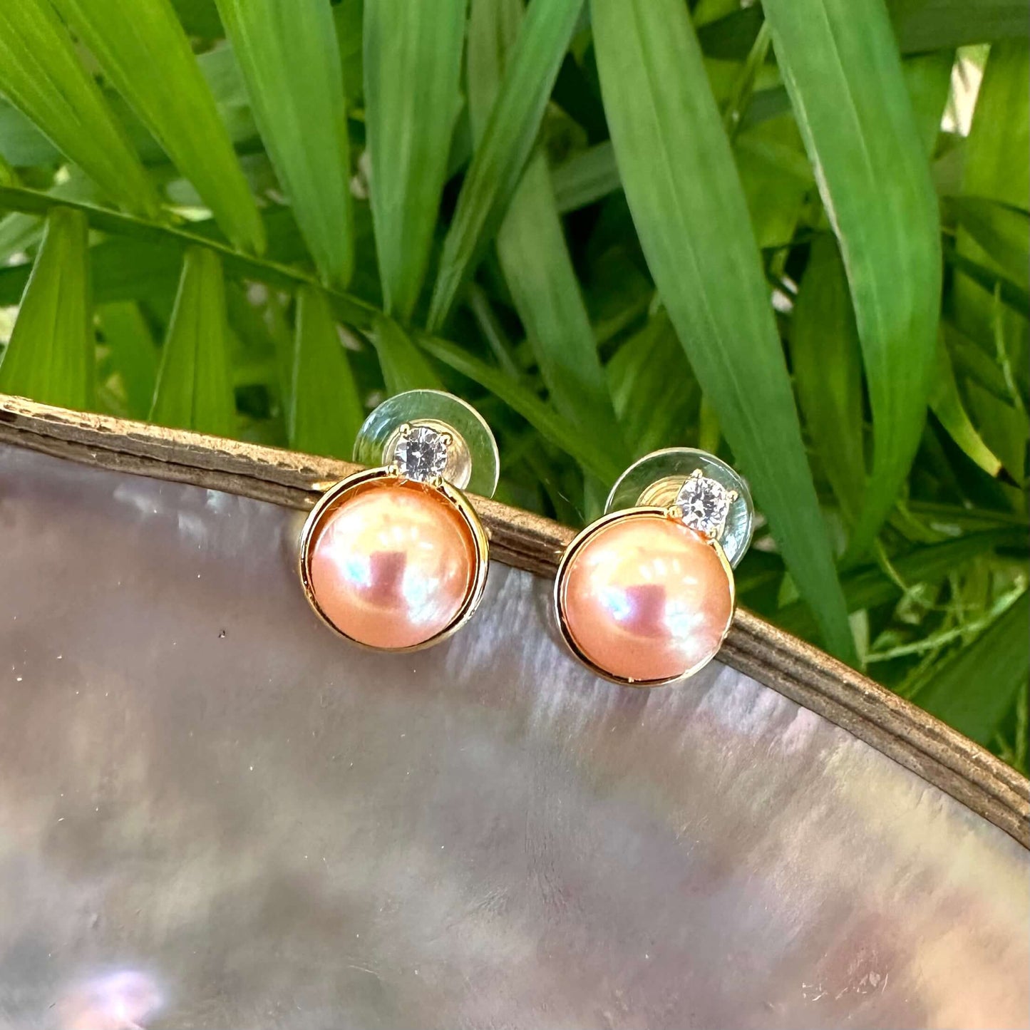 Edison Mabe pearl stud earrings gold vermeil setting close up on shell handmade in Canada
