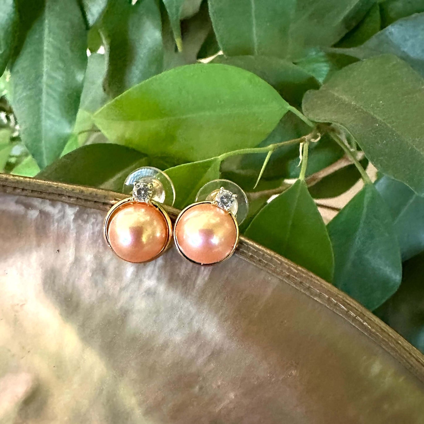 Golden peach Edison Mabe pearl stud earrings displayed on pearl shell against green leaves handmade in Canada