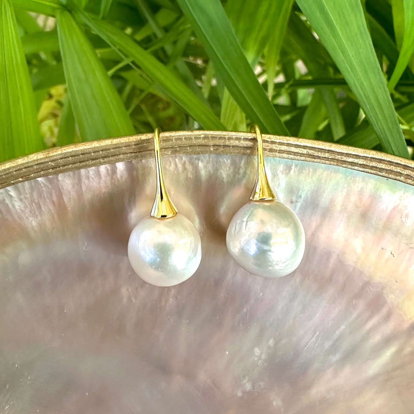 White pearl drop earrings with gold vermeil hooks displayed on pearl shell and green leaves, highlighting lustrous Edison pearls.