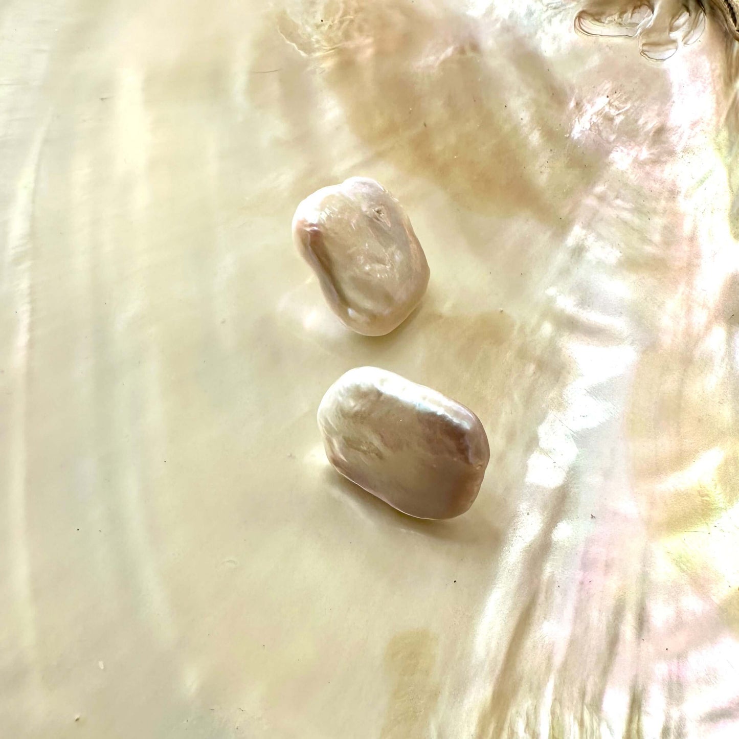 Baroque pearl stud earrings featuring white rectangular-shaped freshwater pearls on a reflective surface.