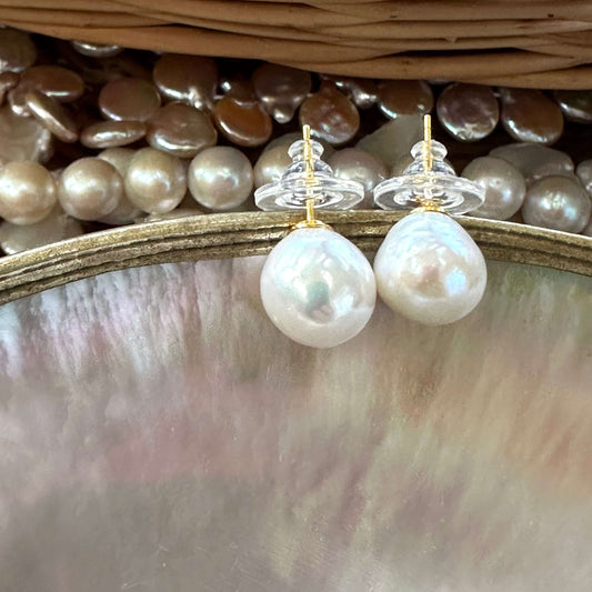 White edison pearl stud earrings hanging from shell with assorted pearls in background, highlighting size contrast and natural luster.