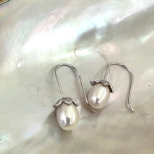 Charger l&#39;image dans la galerie, Boucles d&#39;oreilles tulipes en perles de riz blanches d&#39;eau douce, GV ou argent
