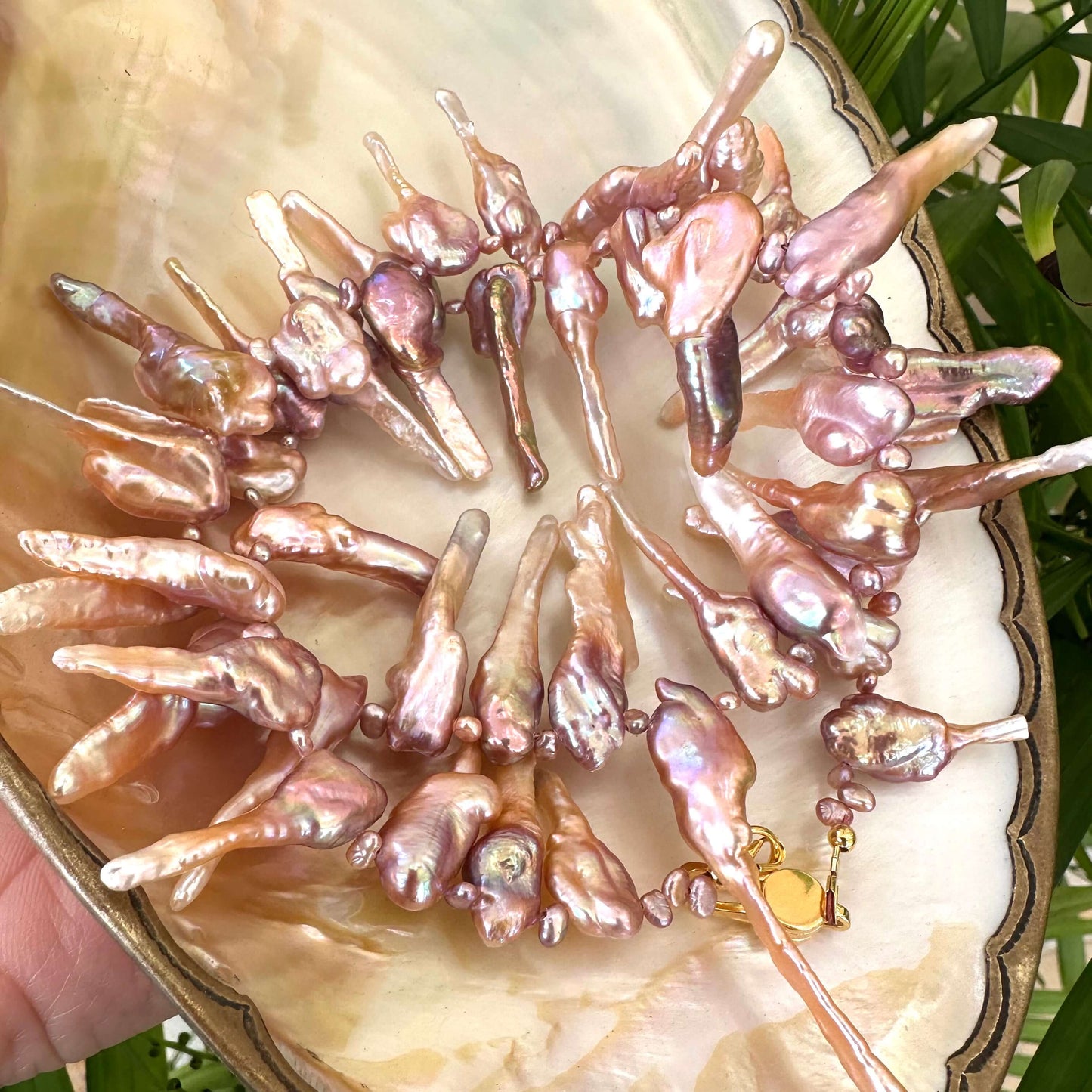 Pink Biwa pearl necklace resting on white shell backdrop, iridescent purplish pearls