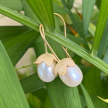 Charger l&#39;image dans la galerie, Boucles d&#39;oreilles tulipes en perles de riz blanches d&#39;eau douce, GV ou argent
