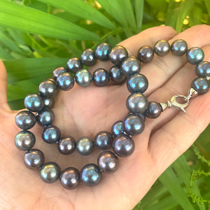 Peacock Black Pearl Classic Necklace