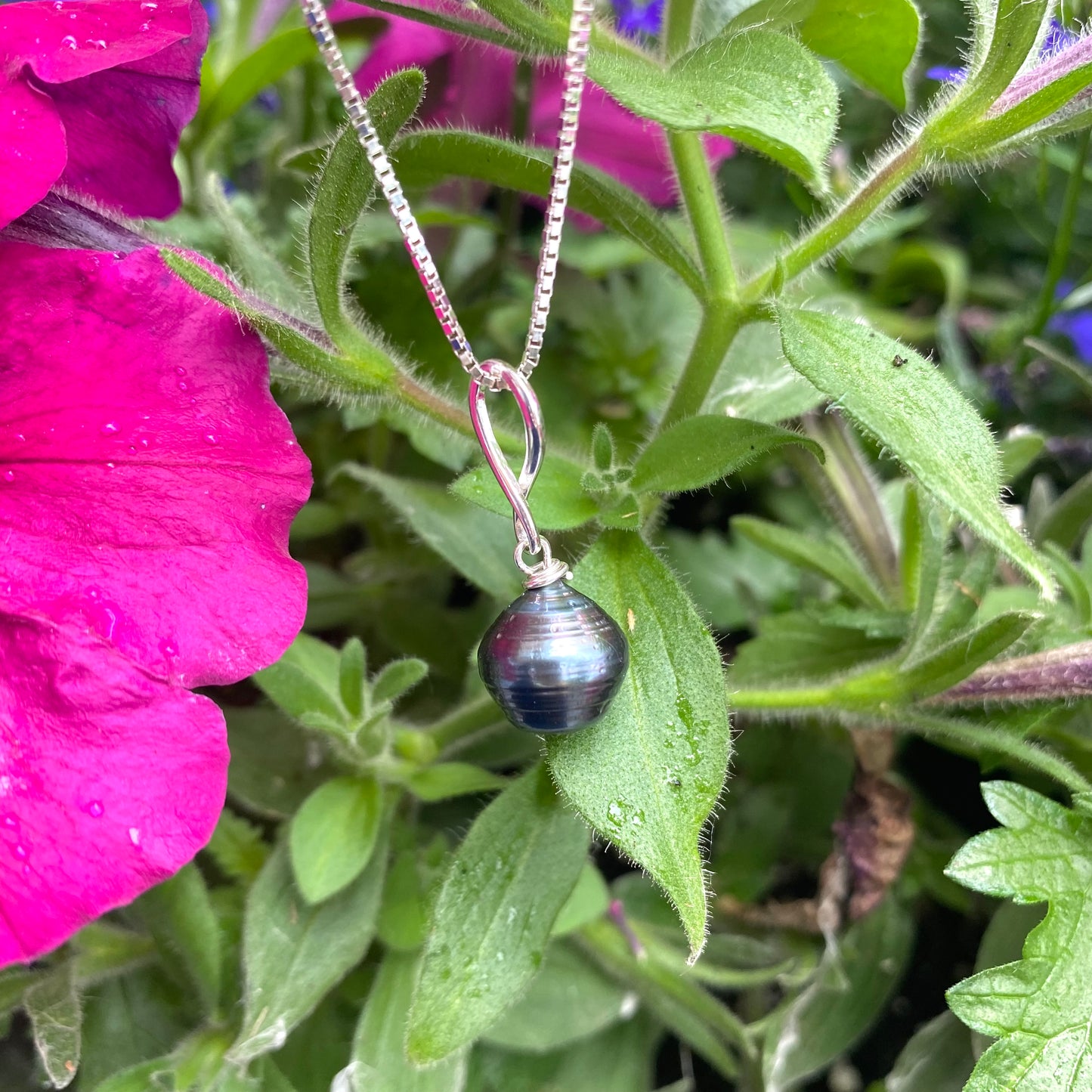 Tahitian teardrop pearl pendant box chain outdoors with flowers, sterling silver pendant and Tahitian pearl
